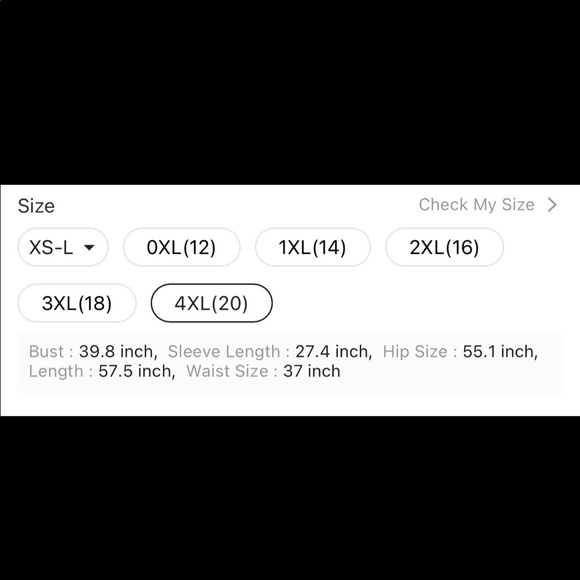 Flounce Sleeve Shirred Bodice Maxi Dress - Picture 6 of 6